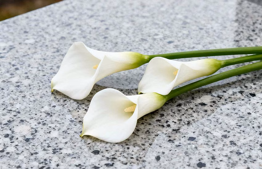 Fiori per funerali e cimiteri – Tradizione, simbologia e attrezzature